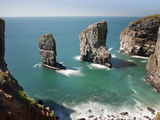 The Elegug Sea Stacks, Pembrokeshire, Wales, United Kingdom, Europe