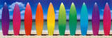 Surf Boards Rainbow Door Poster
