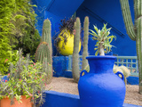 Jardin Majorelle, Marrakech, Morocco