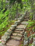 A Stone Staircase at the Thuya Gardens in Northeast Harbor, Maine, Usa
