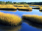 Salt Marsh at Sunrise, Estuary of New Meadow River in Early Autumn, Maine, Usa