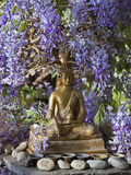 A Small Buddha Shrine Surrounded by Wisteria in Hotel Gangtey Palace, 100-Year-Old Building, Once a