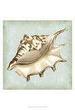 Sea Dream Shells IV Art Print