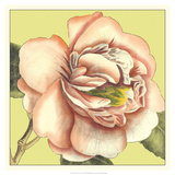 Flower Power I
