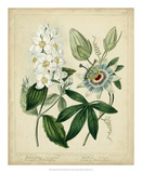 Cottage Florals II