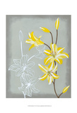 Floral Echo II