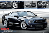 Ford Shelby-1000 Poster
