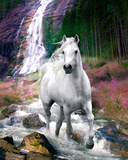 Bob Langrish-Waterfall
