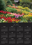 Tulips at Little Larford