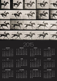 Jockey on a Galloping Horse, Plate 627 from "Animal Locomotion," 1887