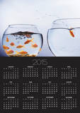 Goldfish Jumping into Different Bowl