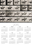 Jockey on a Galloping Horse, Plate 627 from "Animal Locomotion," 1887