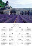 Lavender Field at Abbeye du Senanque