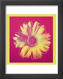 Daisy, c.1982 (Fuschia and Yellow) Framed Art Print