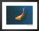 The Goldfish