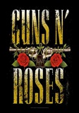 Guns N' Roses - Big Guns
Fabric Poster