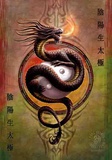 Buy Anne Stokes - Yin Yang Protector at AllPosters.com