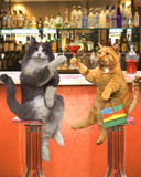 Cocktails-Cats Mini Poster