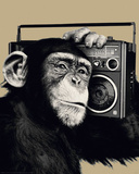 The Chimp-Boombox