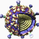 Three Dimensional Representation of the Infectious Myonecrosis Virus (Imnv) Photographic Print