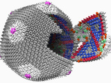 Three-Dimensional Reconstruction Calculated from Individual Images of Chilo Iridescent Virus Photographic Print