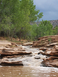 Cottonwood Wash on Cedar Mesa, Utah, USA after a Rain Storm