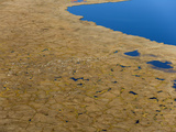 Polygons and Kettle Ponds on the Arctic Coastal Plain Tundra of the Arctic National Wildlife Refuge