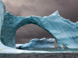 Iceberg, Antarctica