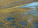 Patterned Ground Polygons and Kettle Ponds on the Coastal Plain Tundra