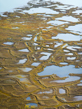 Patterned Ground Polygons and Kettle Ponds on the Coastal Plain Tundra