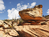 A Balanced or Mushroom Rock in South Mule Canyon, Cedar Mesa, Utah, USA