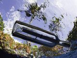 Underwater View of a Message in a Bottle with Tropical Foliage Seen Through the Rippled Surface