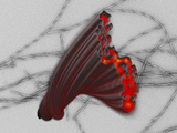 Amyloid Fibrils Involved with Alzheimer's Disease, Parkinson's Disease, Huntington's Disease