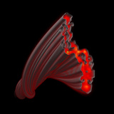 A Beta Amyloid Fibril Involved with Alzheimer's Disease, Parkinson's Disease