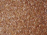 Brown Flax Seeds (Linum Usitatissimum), Native To Southern Eurasia