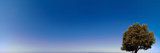 The Morning Fog Is Lifting and One Can See Out over Haro Strait from San Juan Island