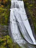 Wolf Creek Falls, Umpqua National Forest, Cascade Range, Oregon, USA