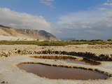 The Salt Pools of the Southern Coast of Socotra, Yemen