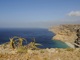 The Southern Coast of Socotra, Yemen