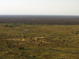 Aerial Photography of the Okavango Delta