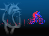 Biomedical Illustration of Exercise (Bicycling), an Ekg, and a Healthy Heart Section