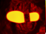 Thermogram of a Warm Cutout in Shape of a Footprint