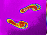 A Man's Bare Feet Were Placed Flat on a Wooden Surface for About 30 Sec