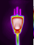 Thermogram of an Electrical Power Plug, Nema 5, Three Wire Grounding Device