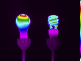 Thermogram of Incandescent and Compact Fluorescent Bulbs