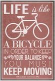 Life Is Like a Bicycle
