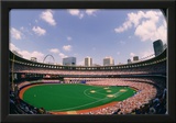 Busch Memorial Stadium St Louis Cardinals Archival Sports Photo Poster Print