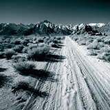Lone Pine V