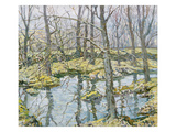 November (Oil on Canvas)
