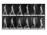Man Walking, from 